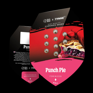 Tyson Punch Pie 3er Pack